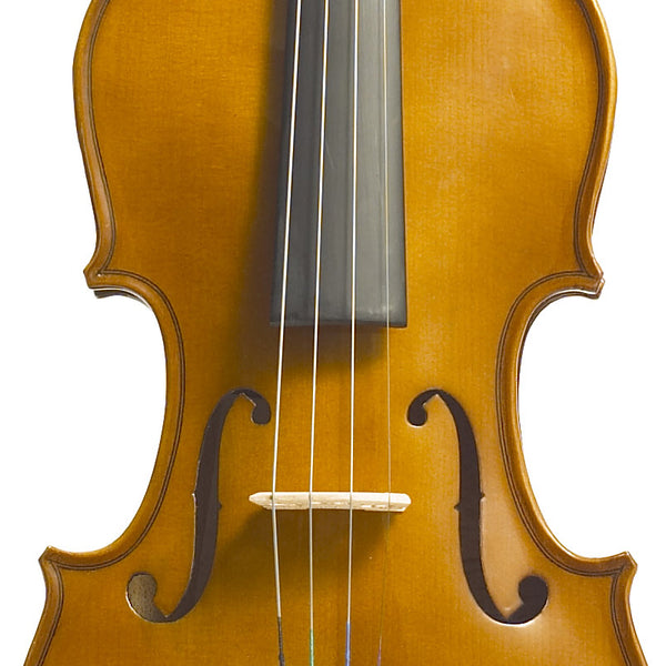 Stentor Violin Outfit Student 1 3/4 Solid Tonewoods, Carved Spruce front, Maple neck, Rosewood Fingerboard and Pegs