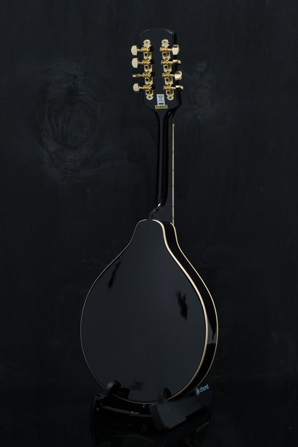 Stentor Ozark Mandolin A Model F-Hole Solid Spruce top. Solid Maple back and Sides With Bag