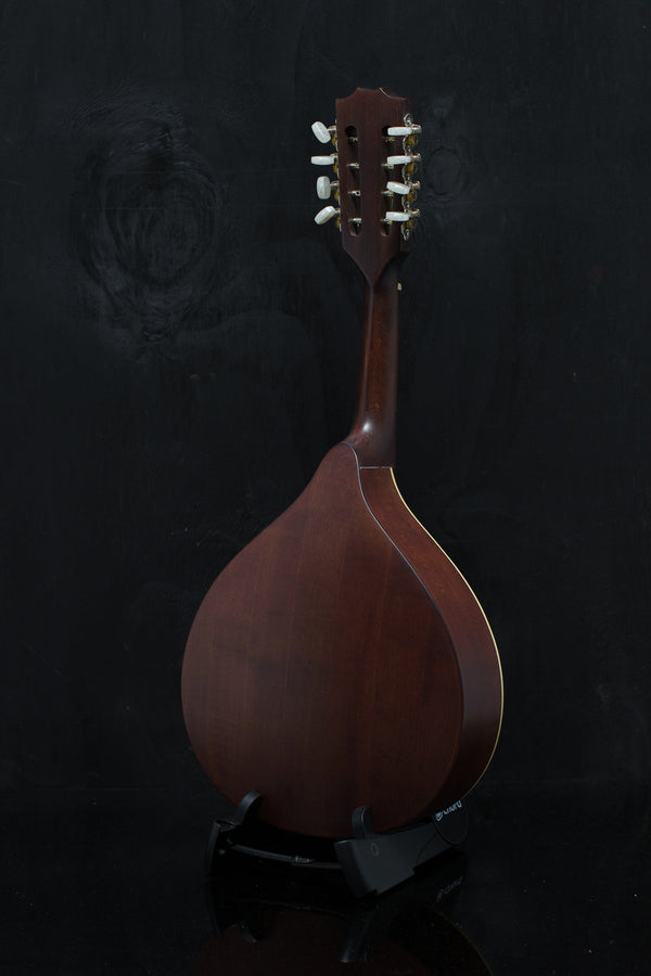 Stentor Ozark Flat Back Mandolin All Solid Wood.  Spruce Top, Maple Back and Sides